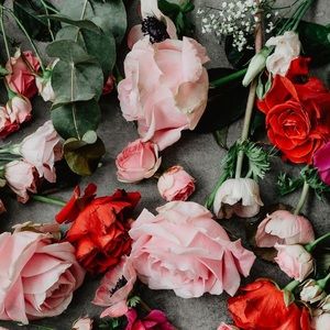 Meet your Posher, Blanca